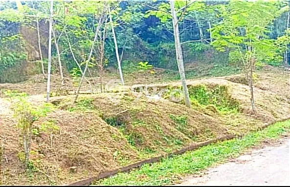 Jarang Ada! Tanah di Abangsongan Punya Luas 272m2 - Jarang Ada! Tanah di Abangsongan Punya Luas 272m2 -