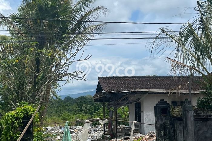 Lahan Kosong Dijual di Tabanan dengan Area 7450m2 Lahan Kosong Dijual di Tabanan dengan Area 7450m2
