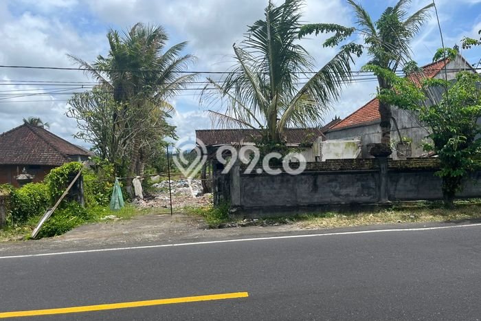 Lahan Kosong Dijual di Tabanan dengan Area 7450m2 Lahan Kosong Dijual di Tabanan dengan Area 7450m2