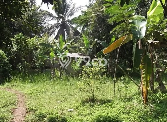 Lahan Kosong Dijual di Tasikmalaya dengan Area 579m2 Lahan Kosong Dijual di Tasikmalaya dengan Area 579m2