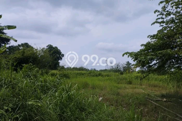 Tanah Dijual Lokasi Kelapa Dua Tangerang SHM Tanah Dijual Lokasi Kelapa Dua Tangerang SHM