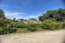 Tanah di Gunung Sindur, Bogor Luas 4000m2 Dijual Segera Tanah di Gunung Sindur, Bogor Luas 4000m2 Dijual Segera