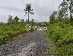 Tanah di Tenjo, Bogor Luas 500m2 Dijual Segera Tanah di Tenjo, Bogor Luas 500m2 Dijual Segera