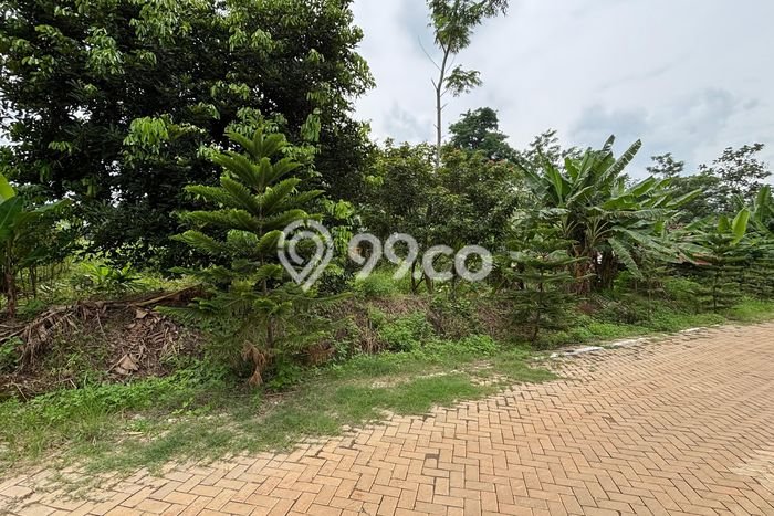Tanah untuk Dijual Lokasi Mijen, Semarang Luas 513m2 SHM Tanah untuk Dijual Lokasi Mijen, Semarang Luas 513m2 SHM