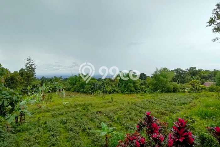 Untuk Dijual Tanah di Bogor Selatan Bogor Luas 75057m2 SHM Untuk Dijual Tanah di Bogor Selatan Bogor Luas 75057m2 SHM