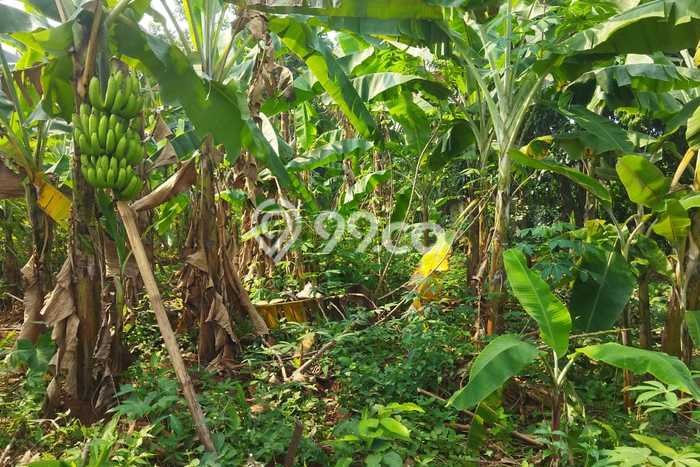 PRIME LOCATION! Tanah di Cibubur, Luas 1315m², Ideal untuk Investasi PRIME LOCATION! Tanah di Cibubur, Luas 1315m², Ideal untuk Investasi