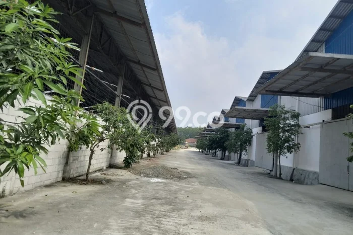 Gudang Disewakan Kawasan Jonggol, Luas 500m2m², Lingkungan Komersial Gudang Disewakan Kawasan Jonggol, Luas 500m2m², Lingkungan Komersial