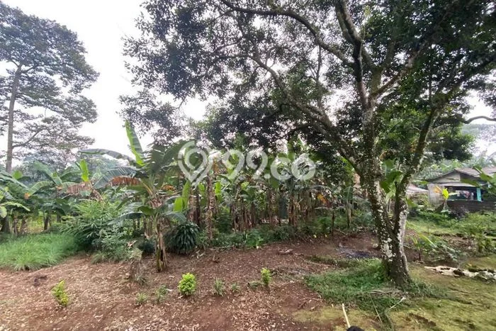 LOKASI PREMIUM! Tanah di Bogor Timur, Luas 8200m2m², Akses Mudah LOKASI PREMIUM! Tanah di Bogor Timur, Luas 8200m2m², Akses Mudah