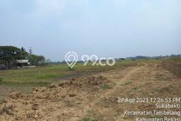 Tanah Kavling untuk Dijual di Tambelang Bekasi 17681m2 Tanah Kavling untuk Dijual di Tambelang Bekasi 17681m2