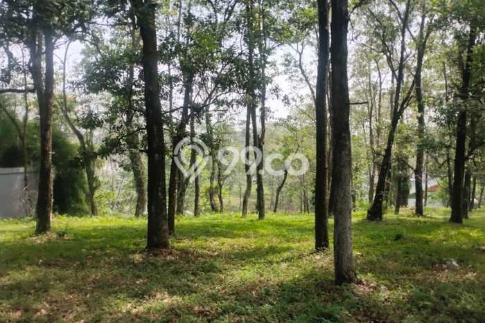 Tanah Kavling Dijual di Sentul City, Bogor dengan Luas Tanah 507m2 Tanah Kavling Dijual di Sentul City, Bogor dengan Luas Tanah 507m2