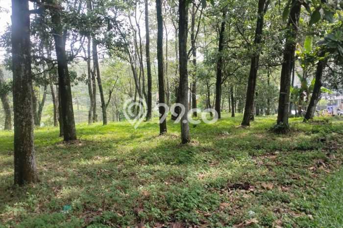 Tanah Kavling Dijual di Sentul City, Bogor dengan Luas Tanah 507m2 Tanah Kavling Dijual di Sentul City, Bogor dengan Luas Tanah 507m2