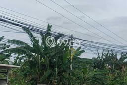 Tanah Dijual di Depok Seluas 6000m2 Strategis Tanah Dijual di Depok Seluas 6000m2 Strategis