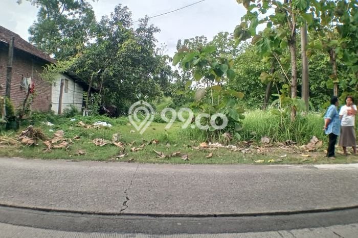 Tanah Dijual Area Strategis di Dawarblandong Mojokerto 301m2 Tanah Dijual Area Strategis di Dawarblandong Mojokerto 301m2