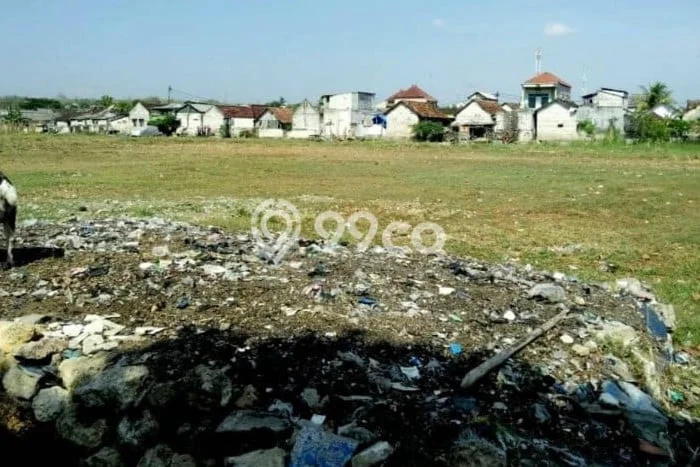 Tanah Dijual Lokasi Paciran, Lamongan Luas 3000m2 Legalitas Aman Tanah Dijual Lokasi Paciran, Lamongan Luas 3000m2 Legalitas Aman