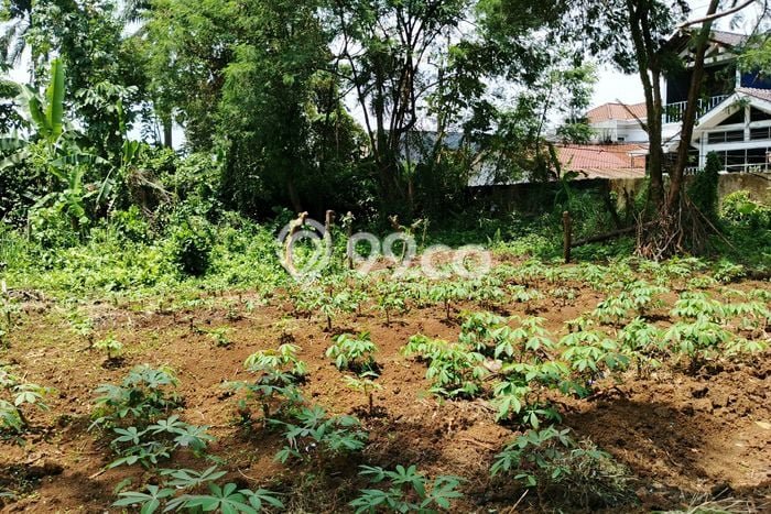 Kavling Tanah untuk Disewa di Tanah Sareal Lahan Luas 3100m2 Kavling Tanah untuk Disewa di Tanah Sareal Lahan Luas 3100m2