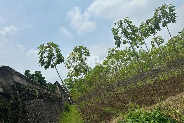 HOT DEAL! Tanah Kawasan Ciampea, Luas 1073m2m², Lokasi Premium HOT DEAL! Tanah Kawasan Ciampea, Luas 1073m2m², Lokasi Premium