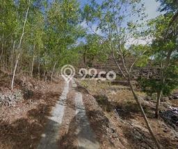 Untuk Dijual Tanah 10764m2 di Saptosari, Gunung Kidul Untuk Dijual Tanah 10764m2 di Saptosari, Gunung Kidul