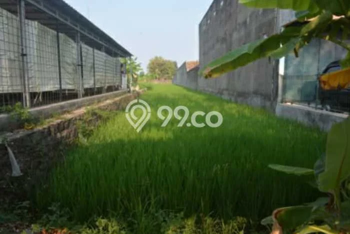 Tanah Komersial Dijual di Kasihan Bantul 915m2 Tanah Komersial Dijual di Kasihan Bantul 915m2