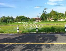 Tanah Strategis Dijual di Kalasan Sleman 2365m2 Tanah Strategis Dijual di Kalasan Sleman 2365m2