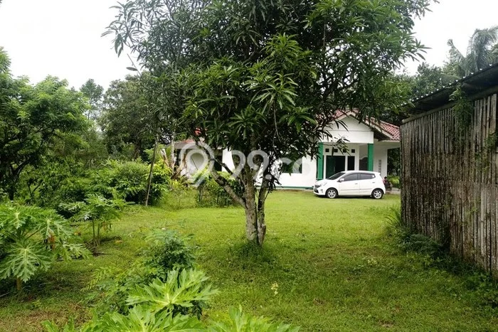 Tanah Kosong Dijual di Kebumen dengan Area 25171m2 Tanah Kosong Dijual di Kebumen dengan Area 25171m2