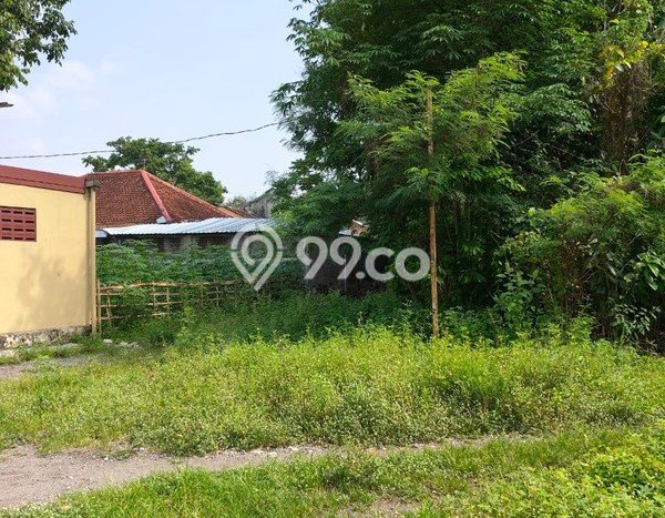 Lahan untuk Dijual Lokasi Mlati, Sleman Luas 5317m2 SHM Lahan untuk Dijual Lokasi Mlati, Sleman Luas 5317m2 SHM