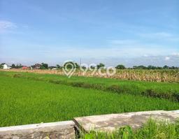 Kavling Tanah di Prambanan Dijual Luas 2520m2 Legalitas SHM Kavling Tanah di Prambanan Dijual Luas 2520m2 Legalitas SHM