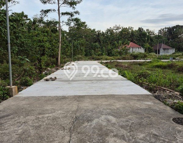 Kavling Tanah untuk Dijual di Kulonprogo, Yogyakarta, Luas 75m2 Kavling Tanah untuk Dijual di Kulonprogo, Yogyakarta, Luas 75m2