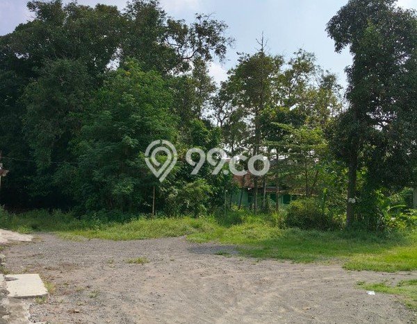 Lahan untuk Dijual Lokasi Mlati, Sleman Luas 5317m2 SHM Lahan untuk Dijual Lokasi Mlati, Sleman Luas 5317m2 SHM
