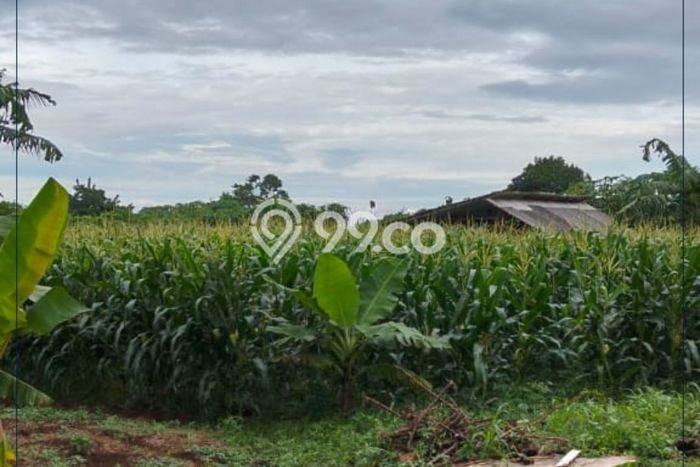 Lahan untuk Dijual Lokasi Cibadak, Sukabumi Luas 97000m2 SHM Lahan untuk Dijual Lokasi Cibadak, Sukabumi Luas 97000m2 SHM