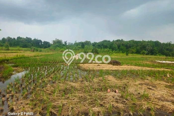 Tanah Strategis Dijual di Warungkondang Cianjur 90000m2 Tanah Strategis Dijual di Warungkondang Cianjur 90000m2