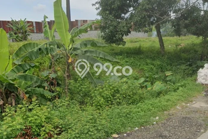 Tanah Potensial di Boja, Luas 4000m², For Rent Tanah Potensial di Boja, Luas 4000m², For Rent