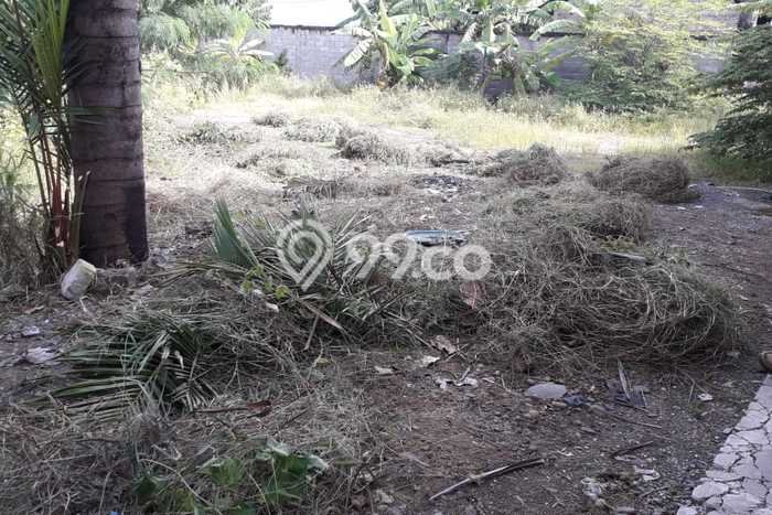 Gudang Kawasan Bisnis Kawasan Kendal, Luas 650m², Akses Strategis Gudang Kawasan Bisnis Kawasan Kendal, Luas 650m², Akses Strategis