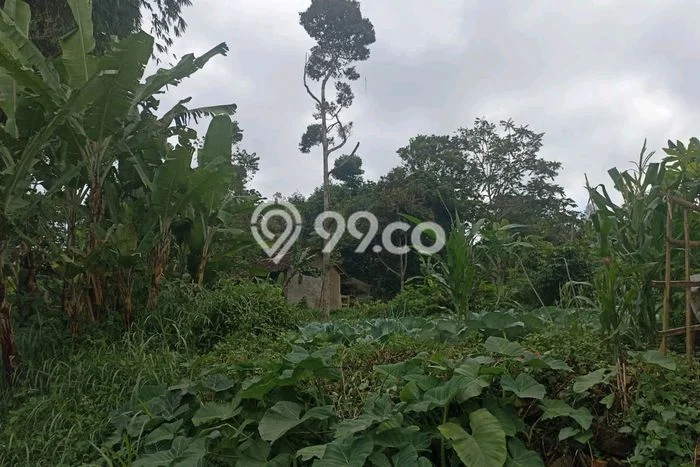 Kavling Tanah Dijual di Ngamprah Bandung Barat Spesifikasi 604m2 Kavling Tanah Dijual di Ngamprah Bandung Barat Spesifikasi 604m2