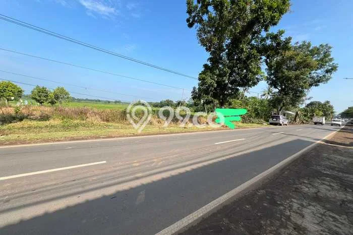 Lahan Strategis di Pagaden Dijual dengan Luas 4975m2 Lahan Strategis di Pagaden Dijual dengan Luas 4975m2