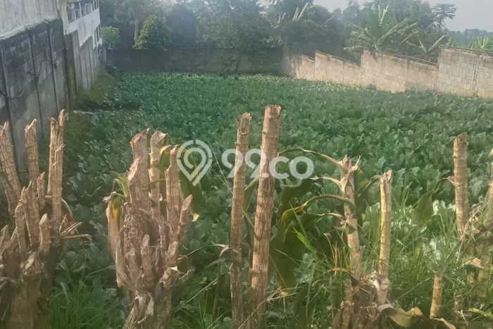 Tanah Kavling untuk Dijual di Cisarua Bandung Barat 630m2 Tanah Kavling untuk Dijual di Cisarua Bandung Barat 630m2