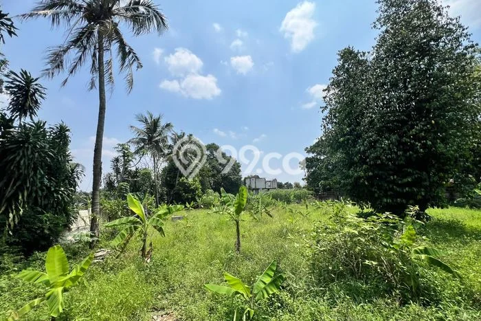 Tanah Dijual Area Strategis di Bojong Sari Depok 4625m2 Tanah Dijual Area Strategis di Bojong Sari Depok 4625m2