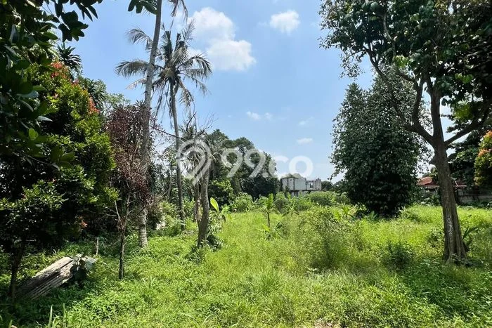 Tanah Dijual Area Strategis di Bojong Sari Depok 4625m2 Tanah Dijual Area Strategis di Bojong Sari Depok 4625m2