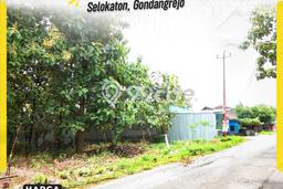 Lahan Dijual Lokasi Gondangrejo, Karanganyar dengan Luas Tanah 1290m2 dan Status SHM Lahan Dijual Lokasi Gondangrejo, Karanganyar dengan Luas Tanah 1290m2 dan Status SHM