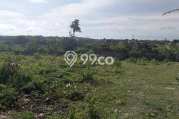 Tanah Kavling Dijual di Badung dengan Spesifikasi 2000m2 Tanah Kavling Dijual di Badung dengan Spesifikasi 2000m2
