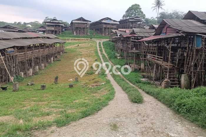 Komersial Paling Dicari LB 10000m2 Dijual di Cigudeg Komersial Paling Dicari LB 10000m2 Dijual di Cigudeg