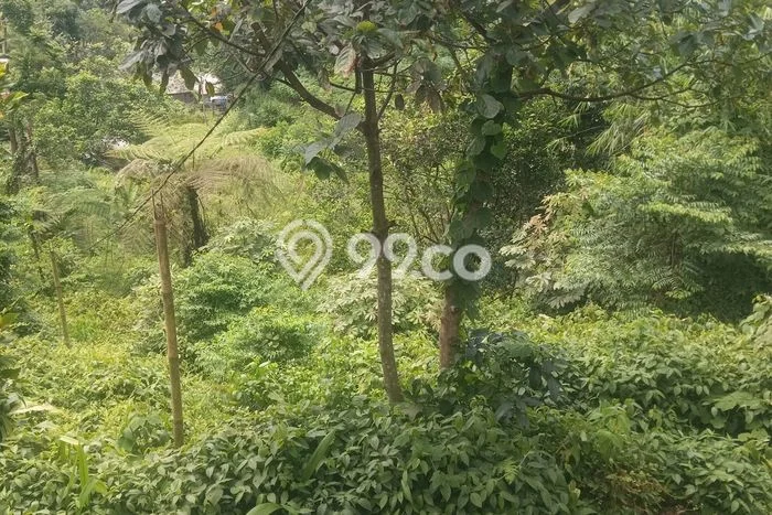 Lahan Kosong Dijual di Megamendung, Bogor, Luas 13115m2 Area Strategis Lahan Kosong Dijual di Megamendung, Bogor, Luas 13115m2 Area Strategis