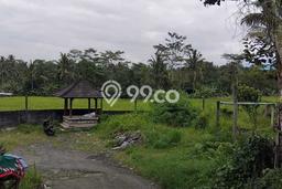 Kavling Tanah Dijual di Tabanan Tabanan Spesifikasi 4300m2 Kavling Tanah Dijual di Tabanan Tabanan Spesifikasi 4300m2