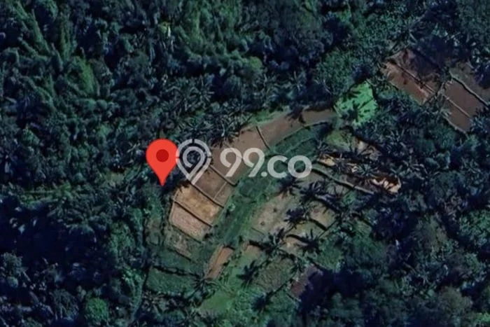Lahan Kosong Dijual di Payangan, Gianyar, Luas 50100m2 Area Strategis Lahan Kosong Dijual di Payangan, Gianyar, Luas 50100m2 Area Strategis