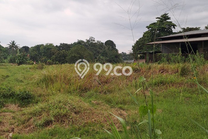 Jarang Ada! Tanah di Jambe Punya Luas 15000m2 SHM Jarang Ada! Tanah di Jambe Punya Luas 15000m2 SHM