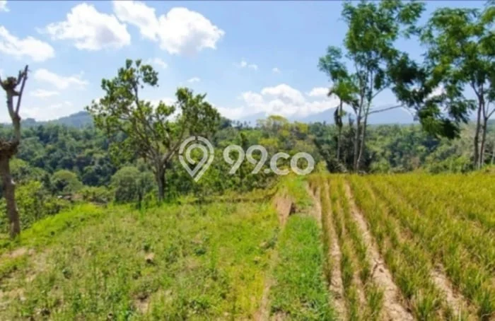 Lahan Kosong Dijual di Payangan, Gianyar, Luas 50100m2 Area Strategis Lahan Kosong Dijual di Payangan, Gianyar, Luas 50100m2 Area Strategis