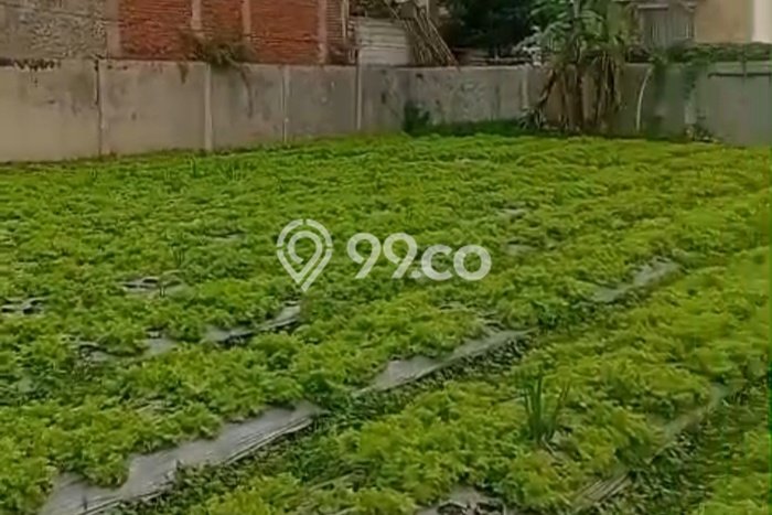 Tanah Dijual Lokasi Parongpong, Bandung Barat Luas 550m2 Legalitas Aman Tanah Dijual Lokasi Parongpong, Bandung Barat Luas 550m2 Legalitas Aman
