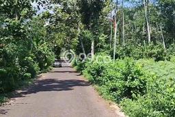 Lahan Investasi Lokasi Mijen Semarang SHM Lahan Investasi Lokasi Mijen Semarang SHM
