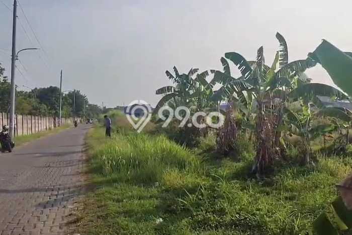 Dijual Tanah di Semarang, Luas 1000m2 SHM Dijual Tanah di Semarang, Luas 1000m2 SHM