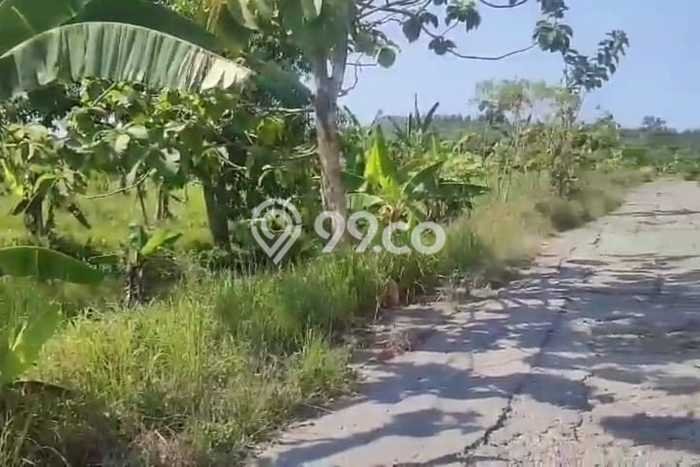 Tanah Lokasi Strategis Kawasan Meteseh, Luas 13308m², Dekat ke Pusat Kota, Lingkungan Nyaman Tanah Lokasi Strategis Kawasan Meteseh, Luas 13308m², Dekat ke Pusat Kota, Lingkungan Nyaman