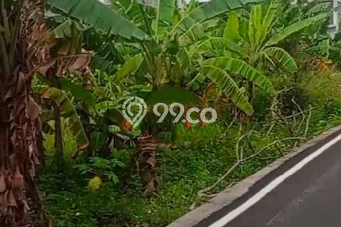 Disewakan Tanah Lokasi Strategis di Denpasar Timur Denpasar 1200m2 Disewakan Tanah Lokasi Strategis di Denpasar Timur Denpasar 1200m2
